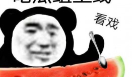 吃瓜墙娱乐文案,吃瓜墙上的那些秘密与真相